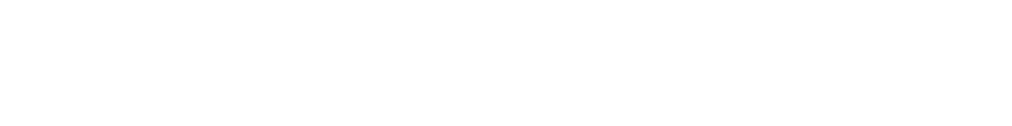 Server